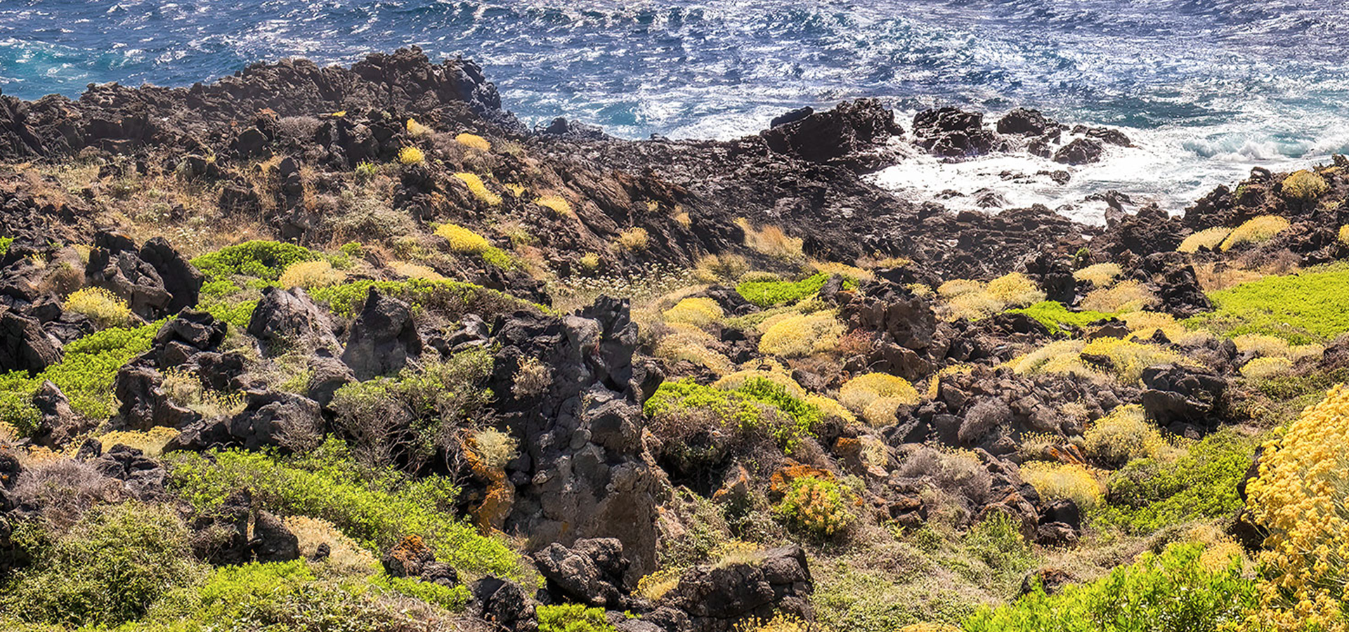 Catalogue Archive 2026 | Ethimo