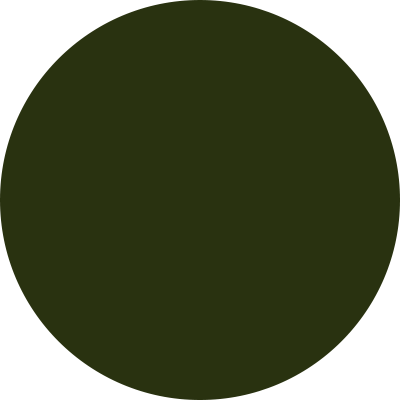 CS08 Concrete Forest Green