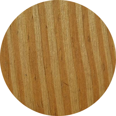 T1L Siberian Larch