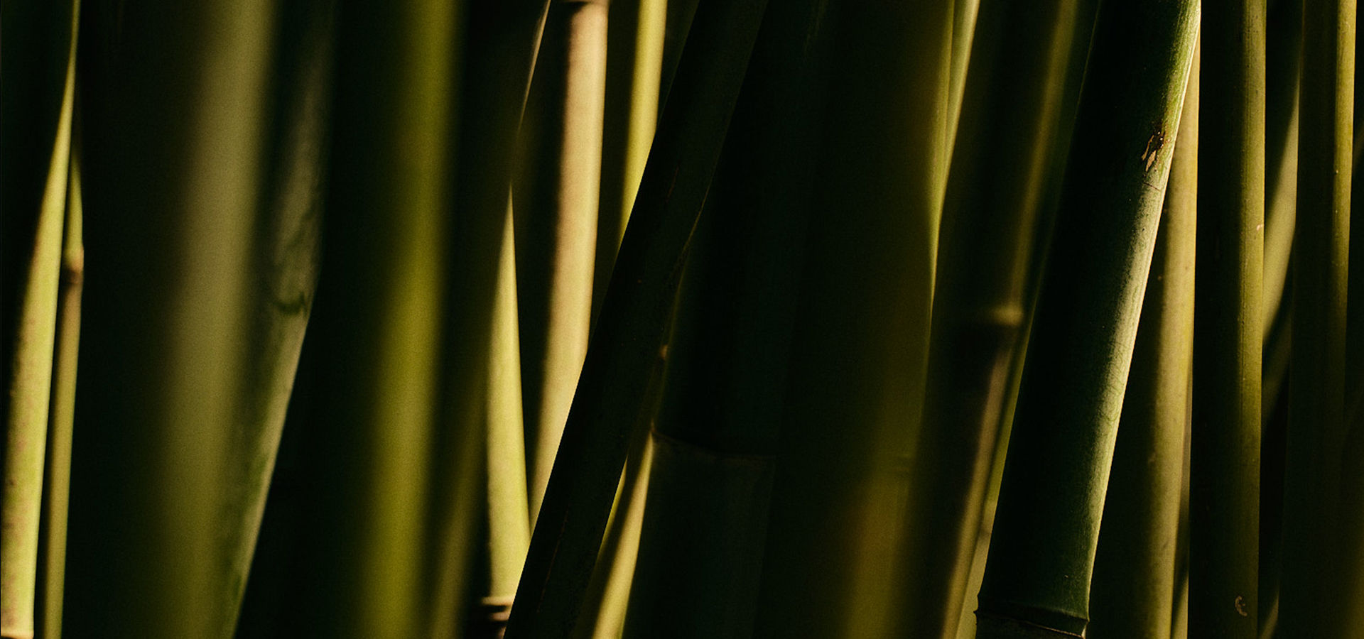 Milano Design Week 2026 | Ethimo