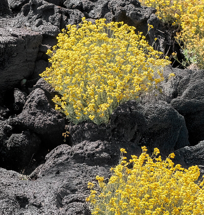 Ethimo in Pantelleria