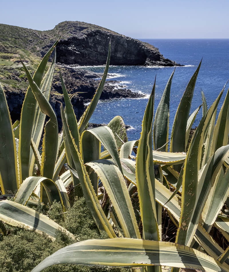 Ethimo in Pantelleria