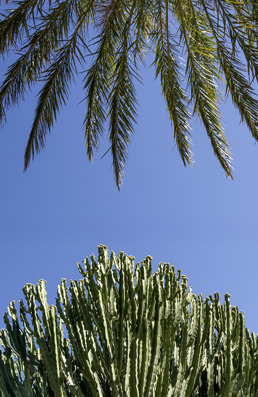 Ethimo in Pantelleria