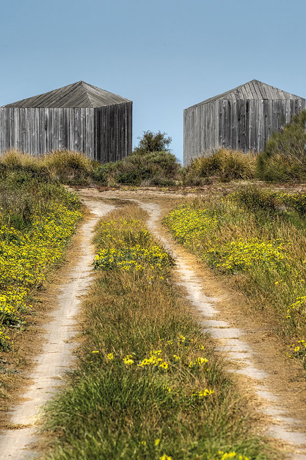 Portugal will surprise you | Ethimo