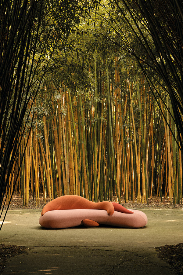 Intersections of ideas and nature