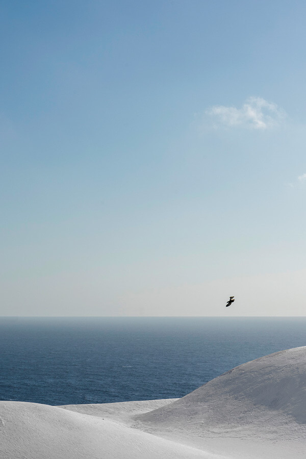 Between Sea and Dammusi
